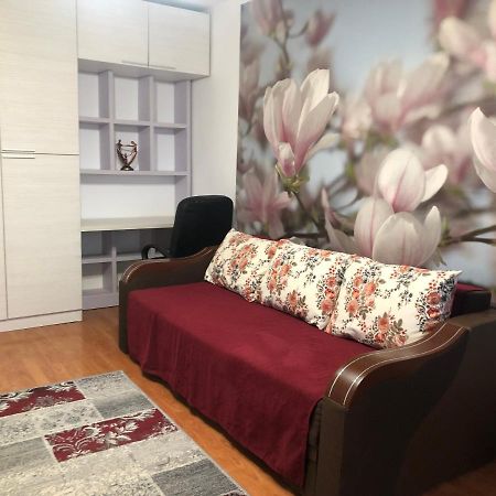 Apartament Magnolia, Piata Gorjului- Metrou Apartment Bukares Bagian luar foto